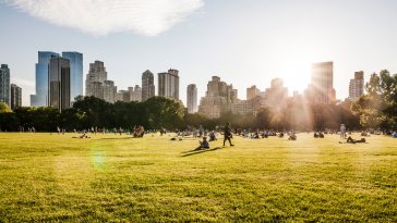 Manhattan skyline view from Central Park